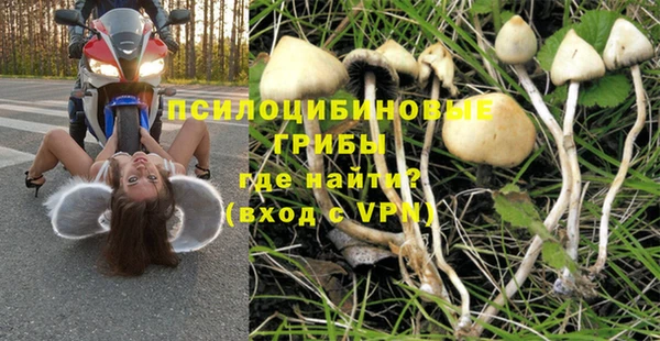 дживик Алзамай