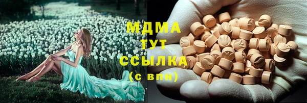 гидра Алексеевка