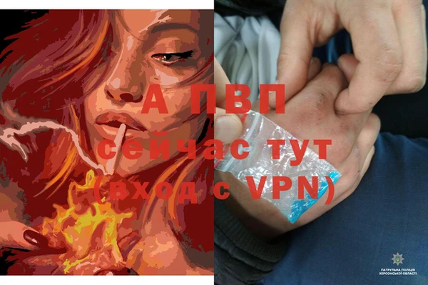 гидра Алексеевка