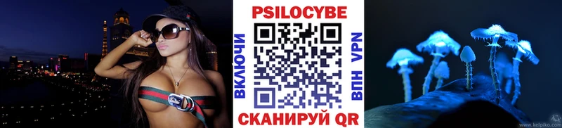 Псилоцибиновые грибы Cubensis  сайты даркнета формула  Кирс 